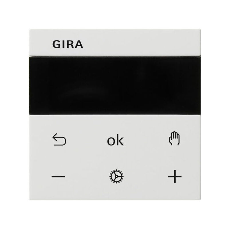 539303 system 3000 raumtemperaturregler display, system 55, reinweiss glänzend - Gira