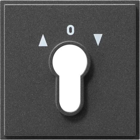 Gira Abd. Schlüsselschalter/-taster Gira TX44 (WG UP) Anthrazit 066467