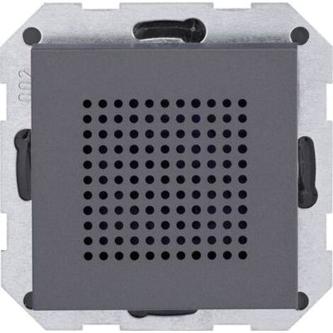 Gira Altoparlante Radio da incasso System 55 Antracite [228228], 2282 28