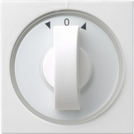 Gira Cache manette temporisateur + store System 55 Blanc pur [066603], 0666 03
