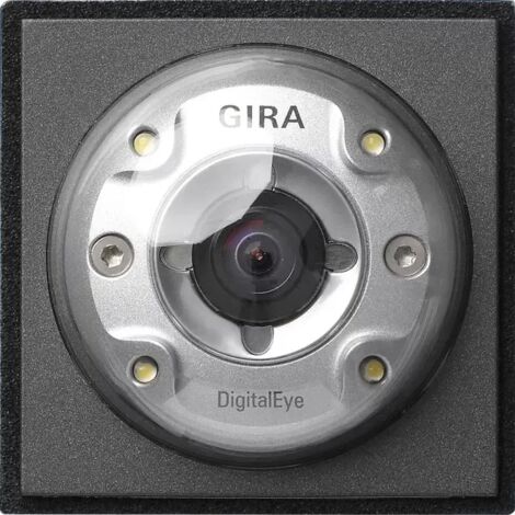 Gira Farbkamera Türstation Gira TX44 (WG UP) Anthrazit 126567