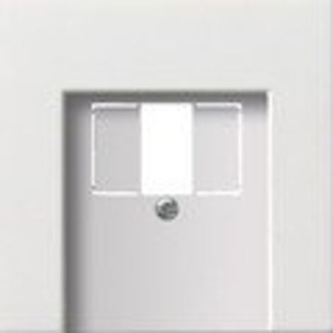 Gira Recouvrement TAE USB Interrupteur à surface Blanc pur [0276112], 0276 112