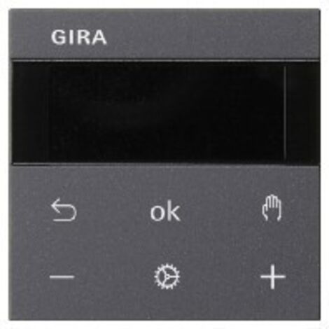 Gira RTR Display 539328