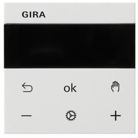Gira RTR DISPLAY SYSTEM 3000 (539303 SYSTEM 55 RWS)