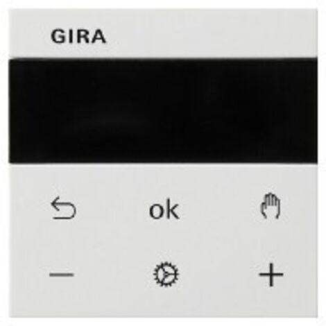 Gira S3000 RTR DISPLAY SYS55 RWS M (SYSTEM 55)