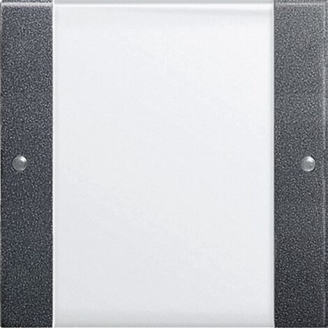 Gira Set de touches 1f BSF System 55 Clair/Anthracite [213128], 2131 28