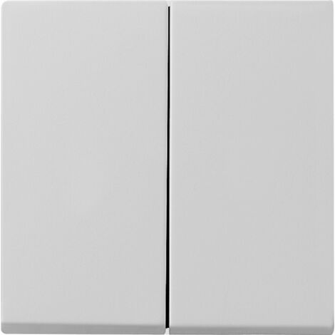Gira Wippe 0295015 2f Sys 55 grau