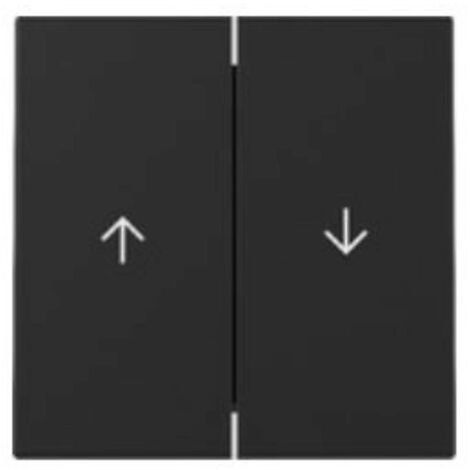 Gira Wippe 2f Pfeil 3294005
