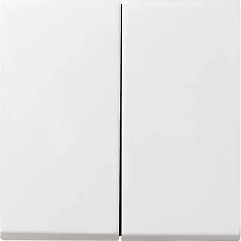 Gira Wippe 2f + Set IP44 Standard 55, Gira E2 Reinweiß 026603