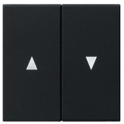Gira Wippe 2f. sw Pfeilsymbol 0294005