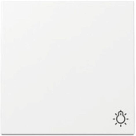 Gira Wippe 328503 Symb.Licht Sys.55 rws