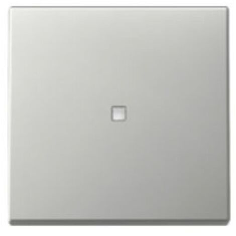Gira Wippe 3290600 Kontrollf.Sys.55 es