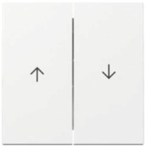 Gira Wippe 329403 2f Pfeil Sys.55 rws