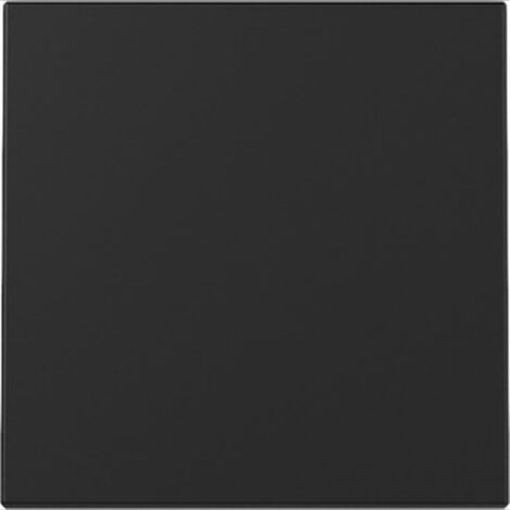 Gira Wippe 3296005 Sys.55 sw m