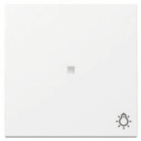 Gira Wippe 367403 Kontrollf.+Symb.Licht Sys.55 rws