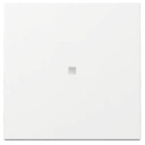 GIRA Wippe mit Kontrollfenster, 329003, System 55, weiß
