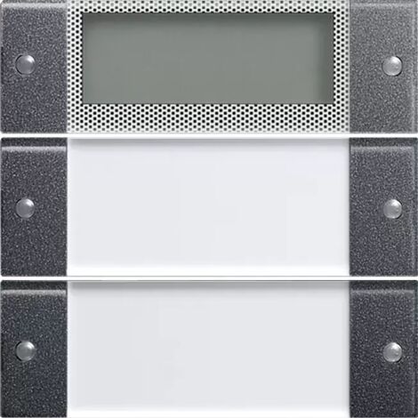 Gira Wippenset 2f Plus BSF System 55 Klar/Anthrazit 214228