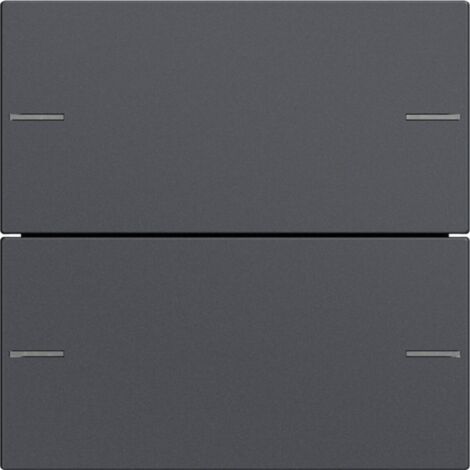 Gira WIPPENSET 2F TASTSENS.4 ANTHR. (575228 SYSTEM 55)