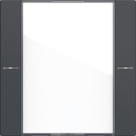 Gira WIPP.S.1F BSF TASTS.4 KL./ANTR (577128 SYSTEM 55)