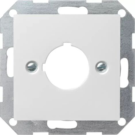 Gira Zentralplatte f.22,5 rws 027227