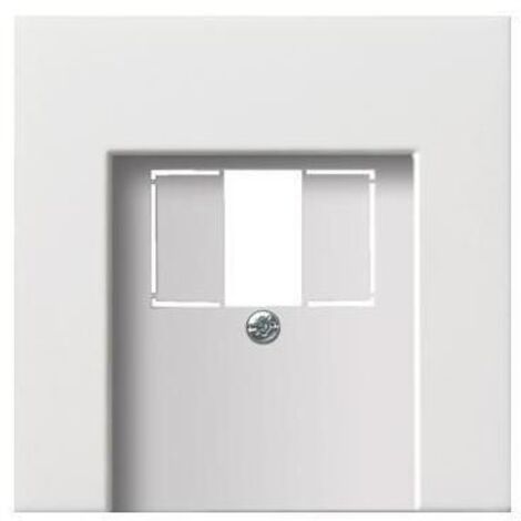Gira Zentralplatte TAE rws-gl 0276112