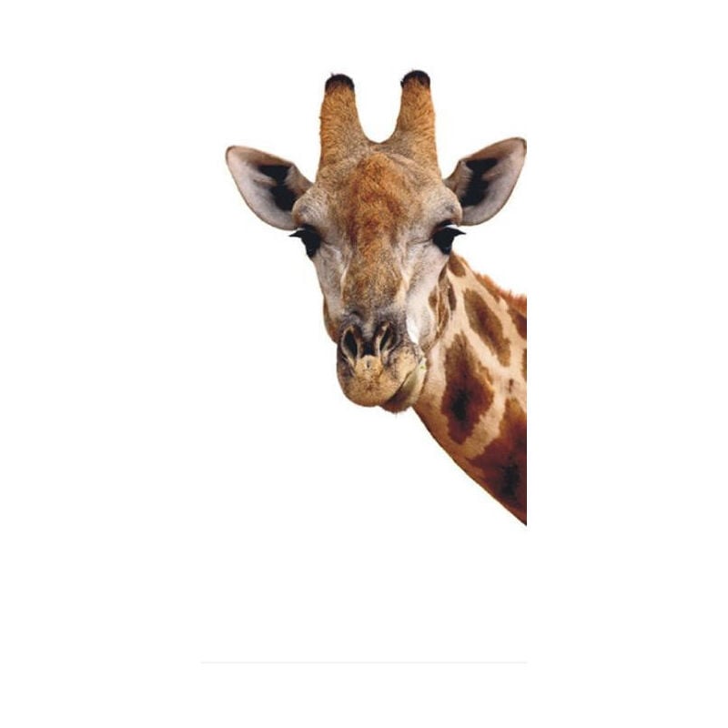 Ag Art - Giraffe, intissé photo mural, 90 x 202 cm, 1 part