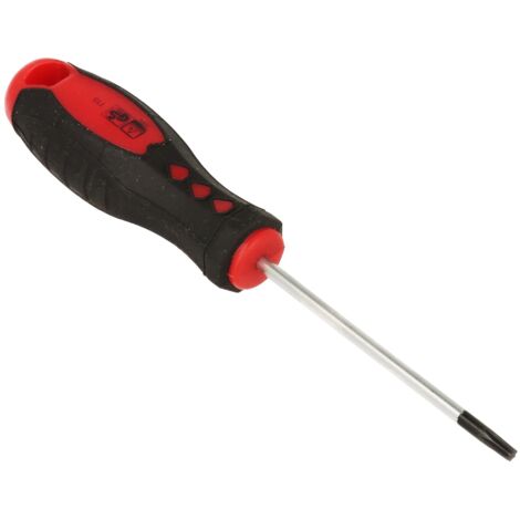 Giravite torx t20 lama 100mm acciaio s2