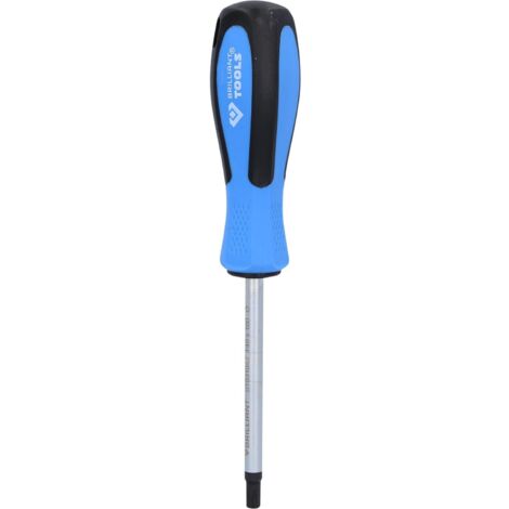 Giravite TORX, T40 x 100 mm