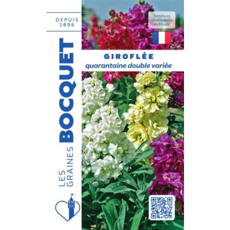 Giroflée quarantaine double variée - 0,5g