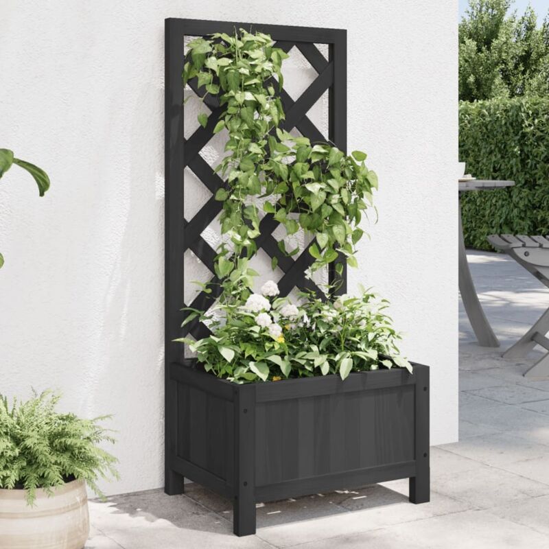 Pflanzkübel Mit Spalier Schwarz Massivholz Tanne Vidaxl 677366