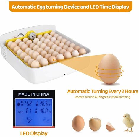 Fácil retorno Obtenga grandes ahorros mercancía de calidad patos Incubadora  de pollos totalmente automática codornices gansos y huevos de pavo 55  huevos incubadora digital con giro automático de huevos y regulación de