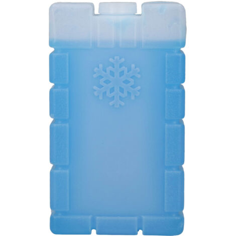 Glacière de voyage portable pour pique-nique et camping, boîte réfrigérante réutilisable avec pack de glace 350ML