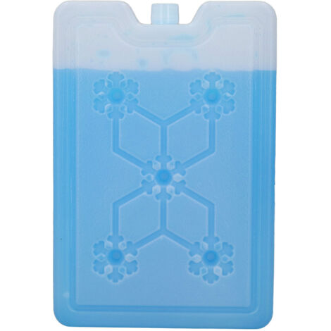 Glacière de voyage portable pour pique-nique et camping, boîte réfrigérante réutilisable avec pack de glace 600ML