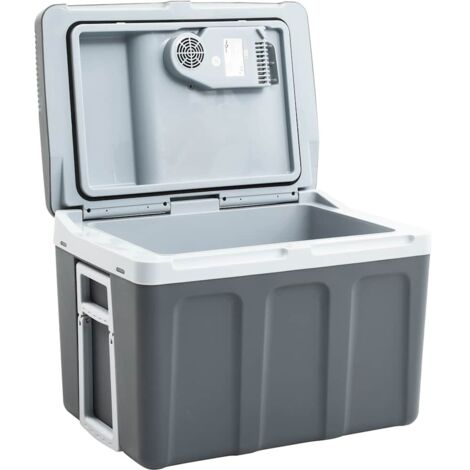 Glacière portable thermoélectrique 40 L 12 V 230 V E CFW636989