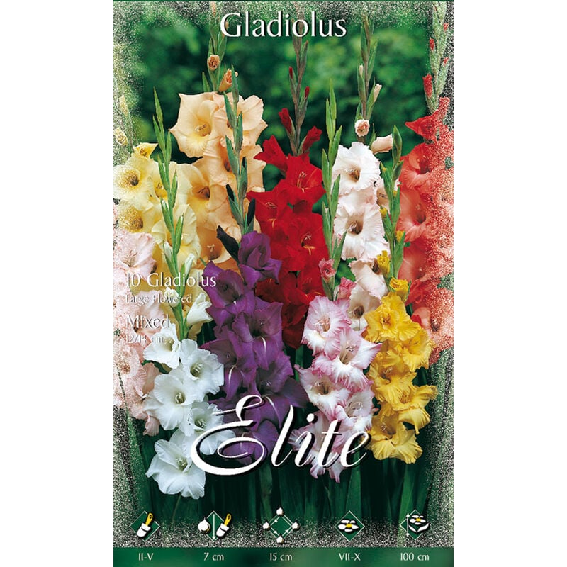 Peragashop - Grand mélange de glaçons de fleurs de couleurs (paquet de 10 ampoules)
