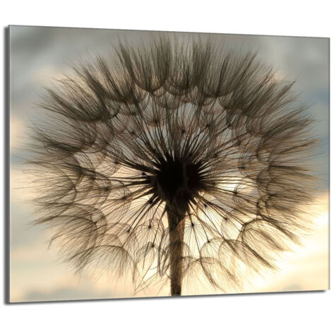 Glas-Herdplattenschutz 60x52 Blume