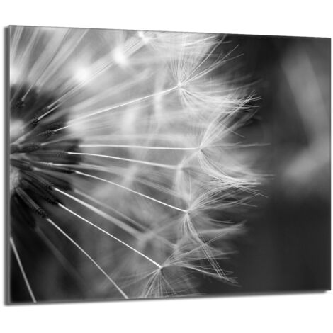 Glas-Herdplattenschutz 60x52 Blume