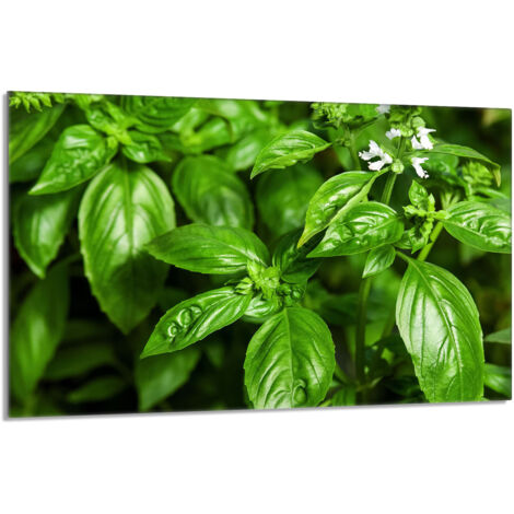 Glas-Herdplattenschutz 80x52 Basil