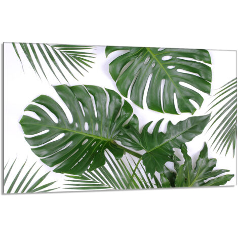 Glas-Herdplattenschutz 80x52 Monstera