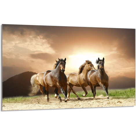 Glas-Herdplattenschutz 80x52 Pferde
