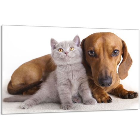 Glas-Herdplattenschutz 80x52 Tiere