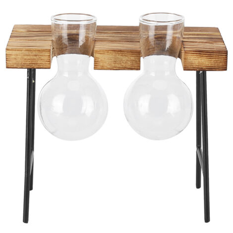 Glas-Pflanzenständer – Hydroponischer Blumentopf auf Holzständer für Büro und Garten – 2 Flaschen