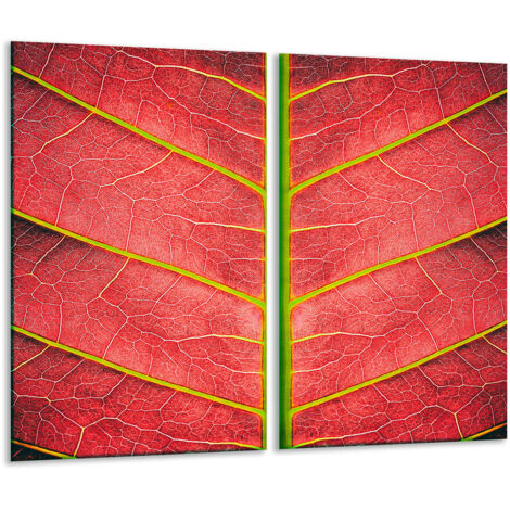 GLASHACKARTON 2X 30x52 Blatt