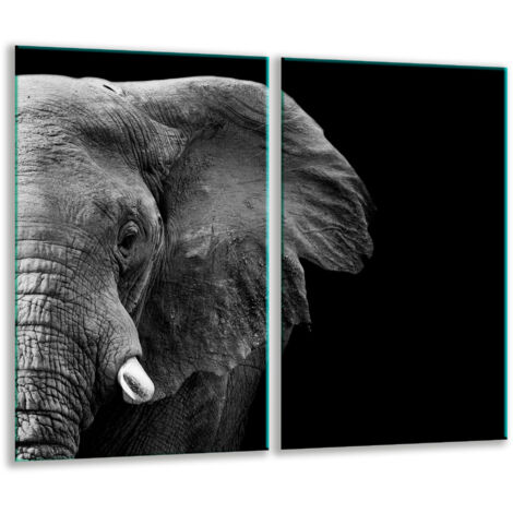 Glashackarton 2x 30x52 Elefant
