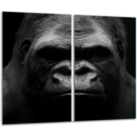 Glashackarton 2x 30x52 Gorilla