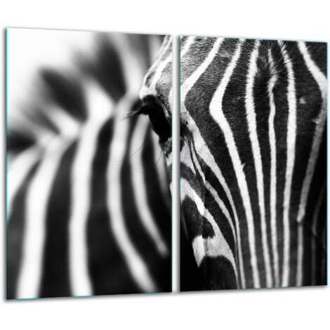 Glashackarton 2x 30x52 Zebra