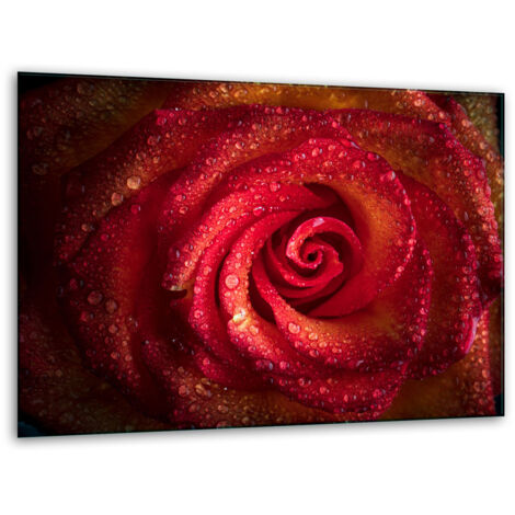 Glashakkungsbrettänder 40x30 Rose