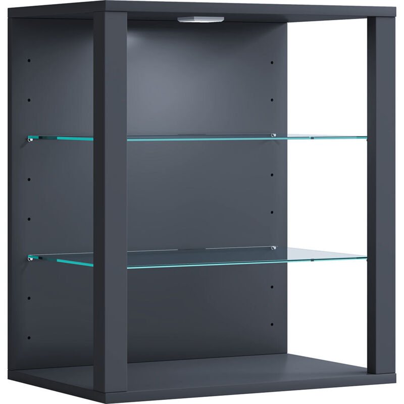 Ebuy24 – Vitrine murale Glasol H. 60 cm – L. 52 cm – P. 35 cm – Verre et structure anthracite – Étagères en verre ajustables