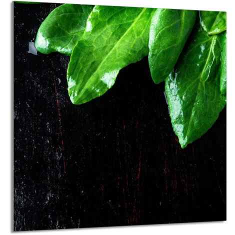 GLASPLATTE FÜR KÜCHE 60x65 Basil