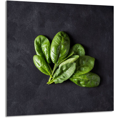 GLASPLATTE FÜR KÜCHE 60x65 Basil